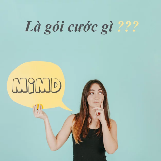 MIMD Viettel là gói cước gì?