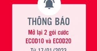 Mở lại 2 gói cước ECOD10 và ECOD20 Viettel cho thuê bao từ 17/01/2023